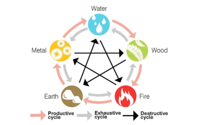 What is The Five Elements Theory?